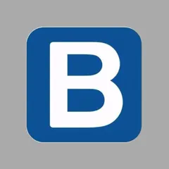 BAO车标
