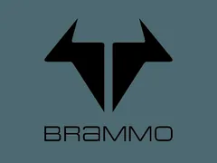 Brammo车标