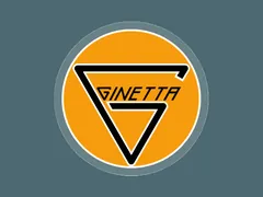 Ginetta车标