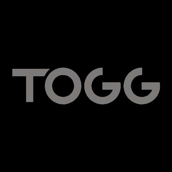 TOGG车标