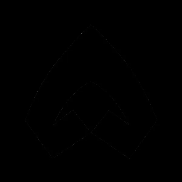 AM晓澳车标