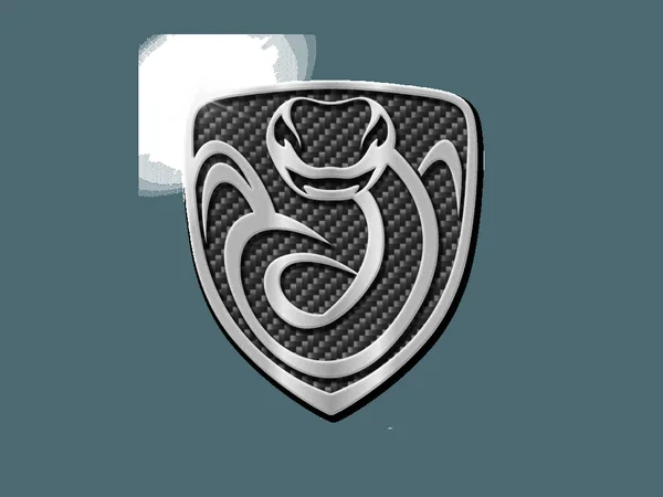 Zarooq Motors车标